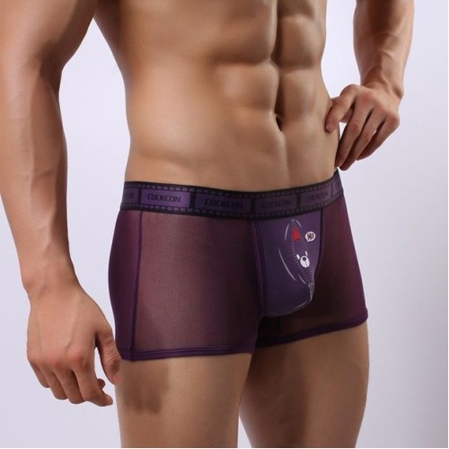 Сетчатые трусы-боксеры Cockcon Trunks с принтом на гульфике