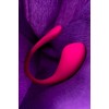 Розовое виброяйцо Lovense Lush 3
