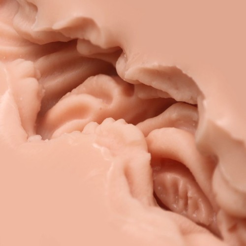 Мастурбатор-вагина Naked Factory V-01