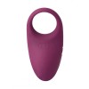 Фиолетовое эрекционное кольцо Winni с вибрацией и пультом ДУ