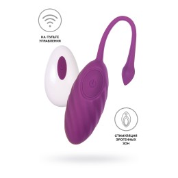 Фиолетовое силиконовое виброяйцо Purr