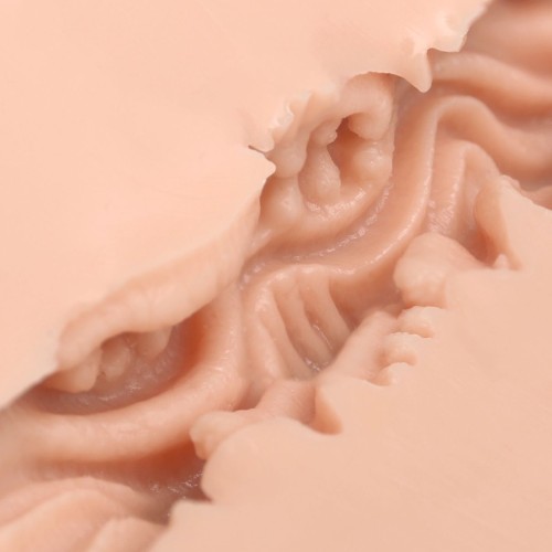 Мастурбатор-вагина Naked Factory V-04