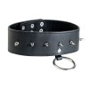 Чёрный кожаный ошейник с шипами