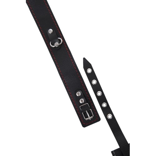 Кожаный двухслойный ошейник с красной строчкой и поводком