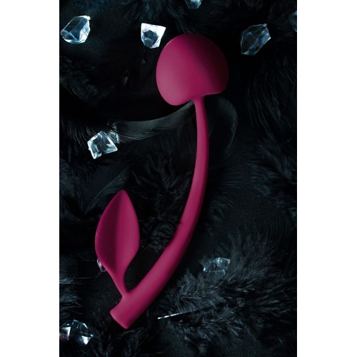 Бордовая вагинальная вишенка WILD CHERRY - 13 см.