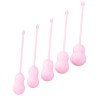 Набор из 5 розовых вагинальных шариков Tulips