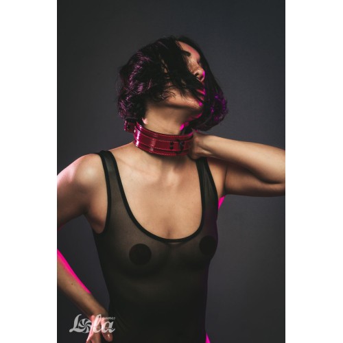 Бордовый ошейник Eccentric