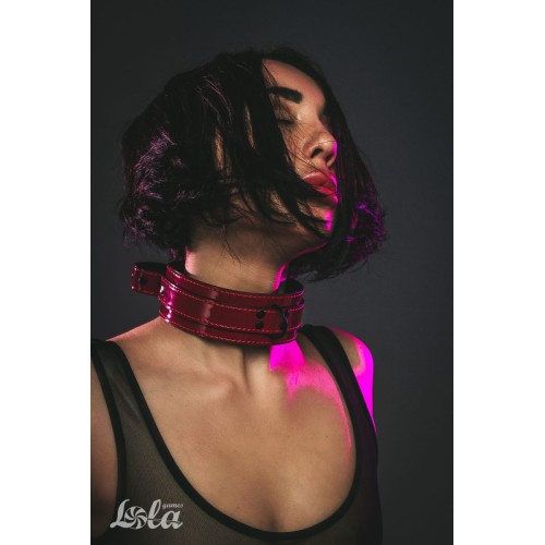 Бордовый ошейник Eccentric