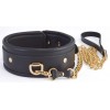 Черный ошейник с золотистым поводком