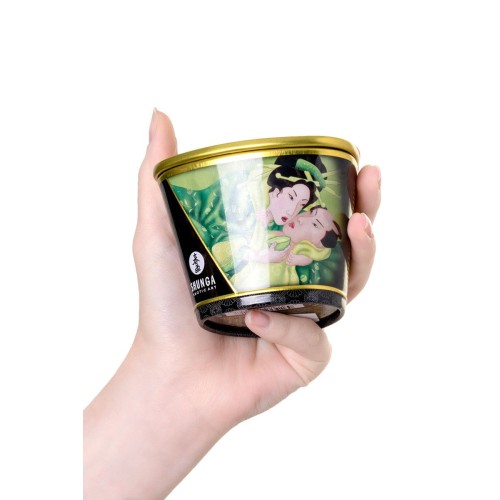 Массажная свеча Exotic Green Tea с ароматом зелёного чая - 170 мл.