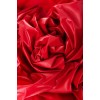 Красная простыня для секса из ПВХ - 220 х 200 см.