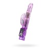Фиолетовый вибратор High-Tech fantasy с клиторальным лепестком - 21 см.
