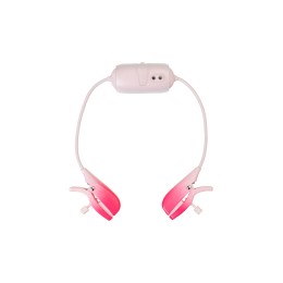 Виброзажимы для сосков Gemini